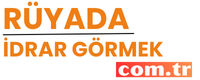 ruyadaidrargormek.com.tr